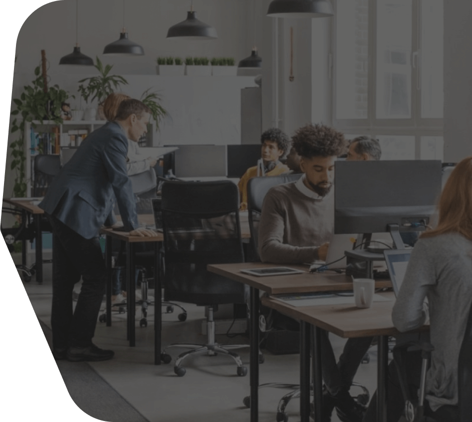 Software Development